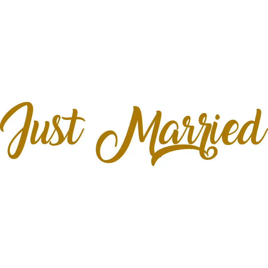 Wedding Car Sign - Just Married Paper Love Card