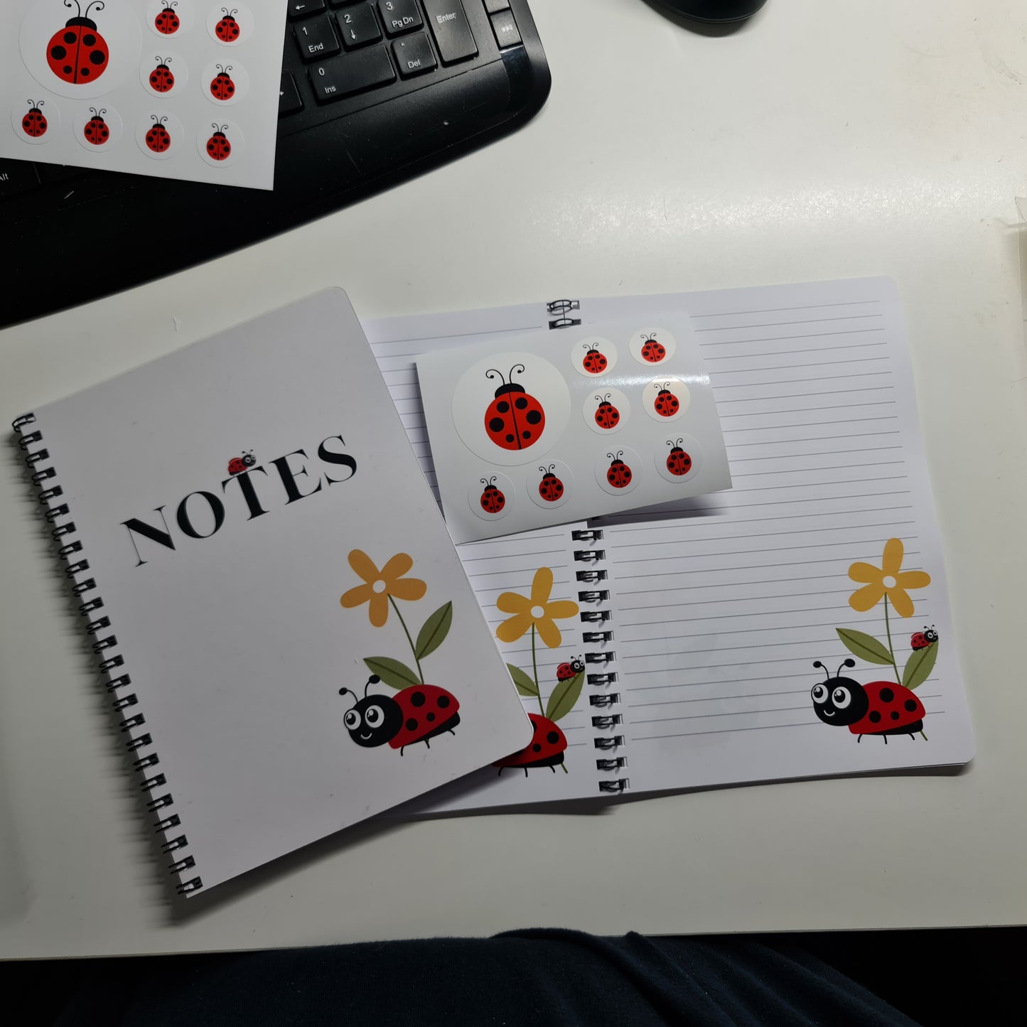 Ladybird A5 Notebook