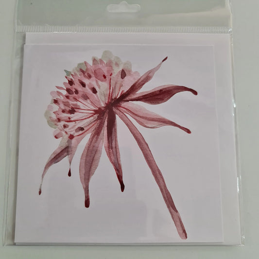 Banksia Flower - Single - White Paper Love Cards