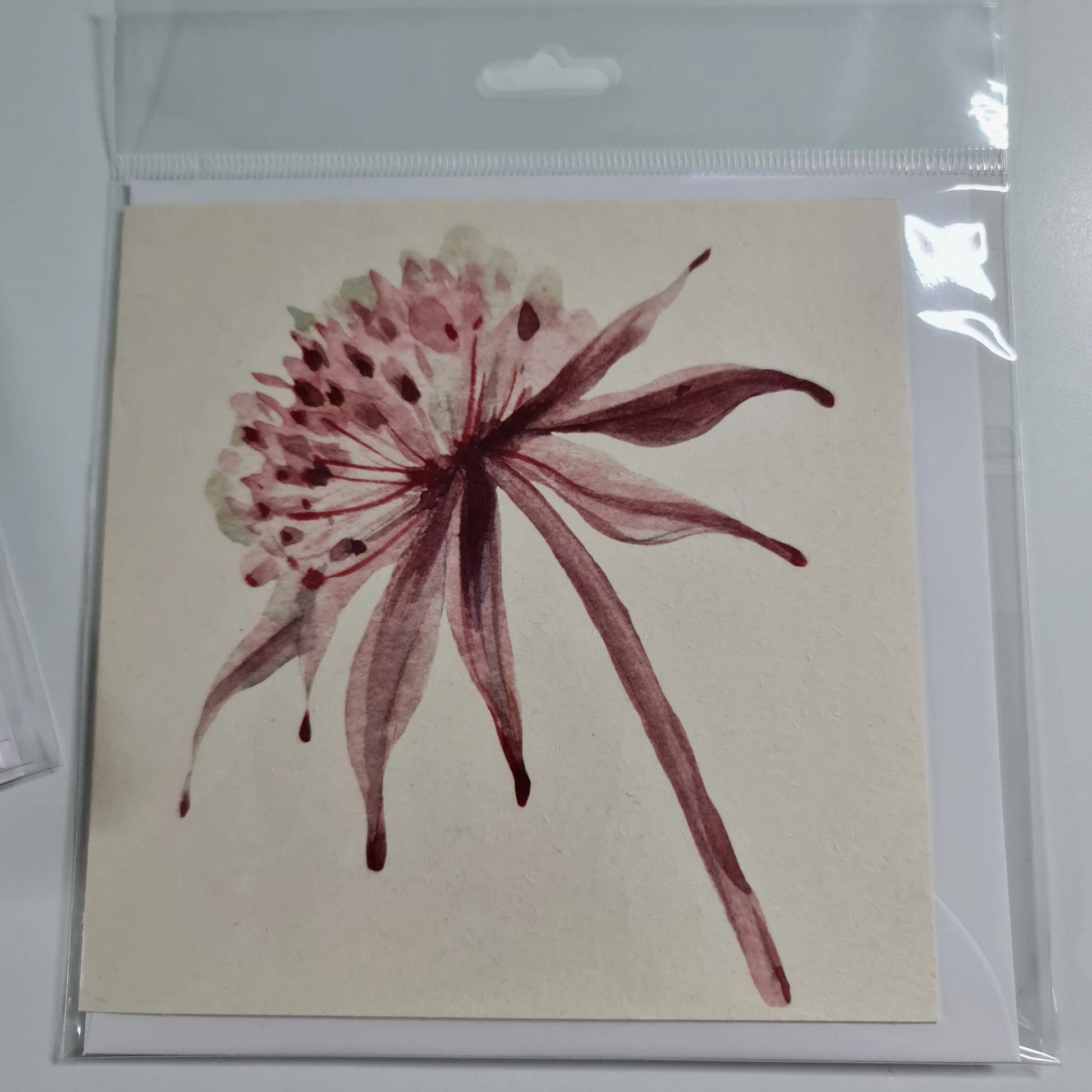Banksia Flower - Single - White & Recycled Paper Love Cards