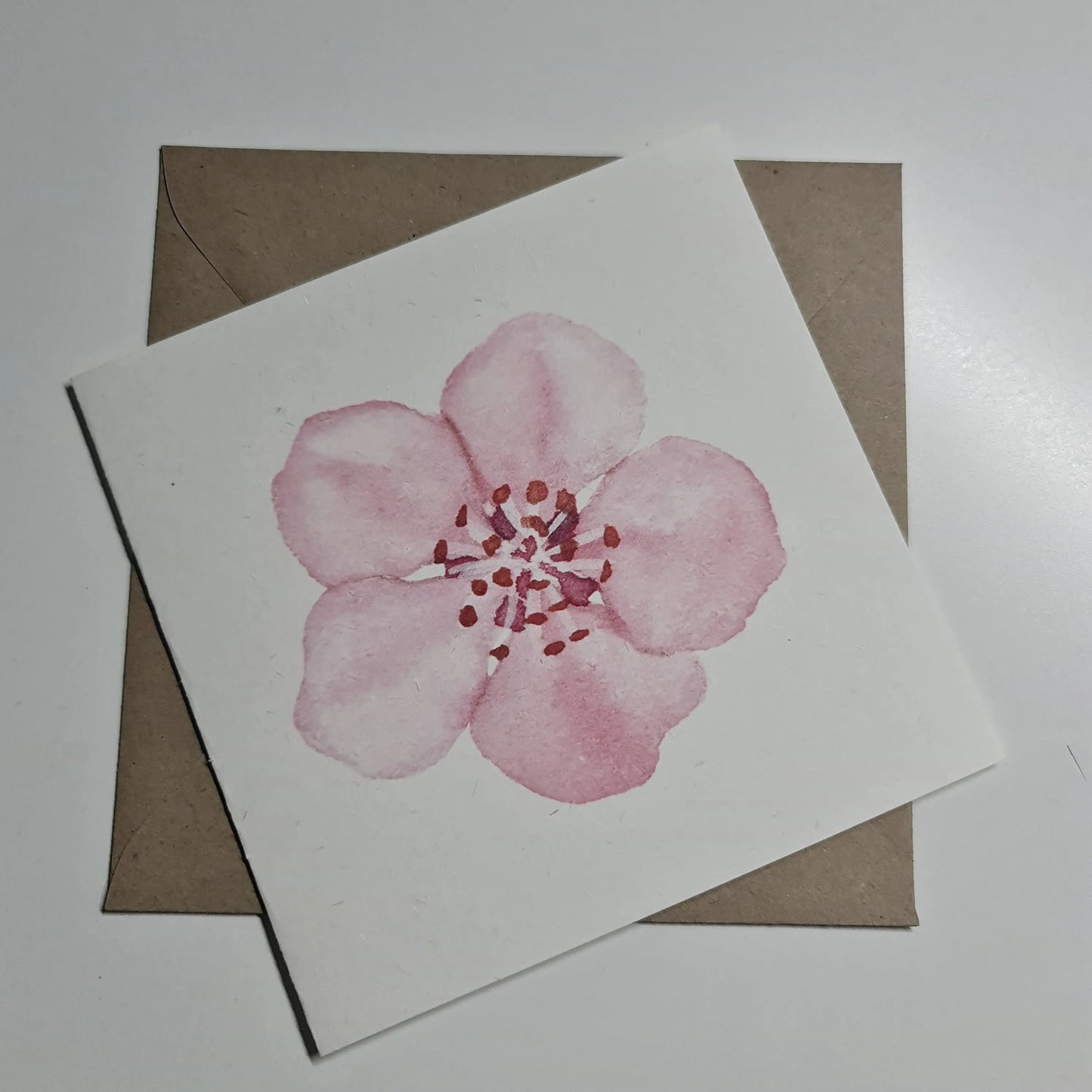 Single Pink Sakura Blossom Card Paper Love Cards